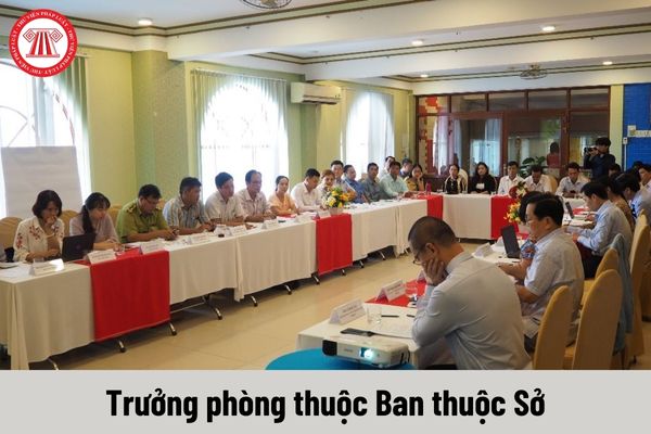 Quyền của người giữ chức vụ Trưởng phòng thuộc Ban thuộc Sở là gì?