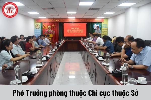 Nhiệm vụ của Phó Trưởng phòng thuộc Chi cục thuộc Sở phải thực hiện là gì?