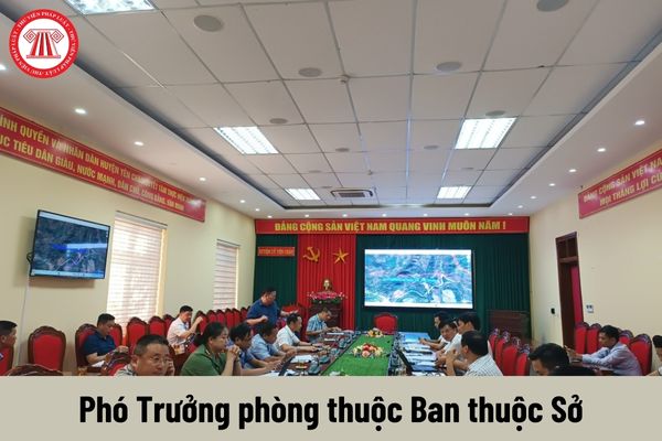 Phó Trưởng phòng thuộc Ban thuộc Sở phải thực hiện những nhiệm vụ gì?