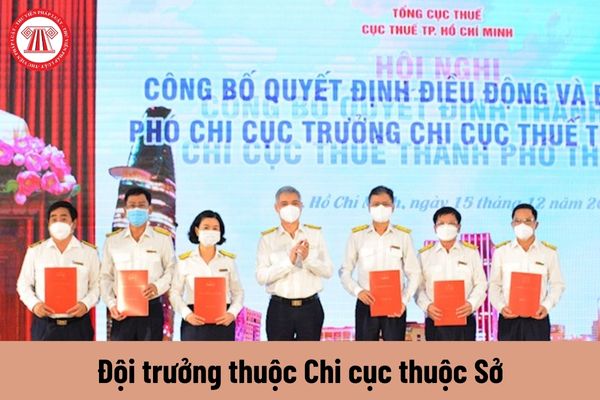 Đội trưởng thuộc Chi cục thuộc Sở có yêu cầu về trình độ như thế nào?