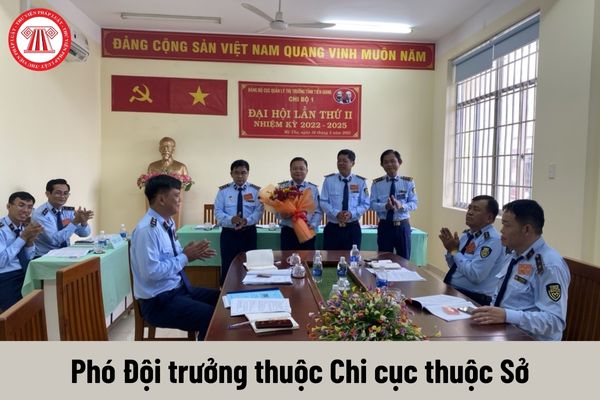 Người giữ chức vụ Phó Đội trưởng thuộc Chi cục thuộc Sở phải có tiêu chuẩn về trình độ như thế nào?