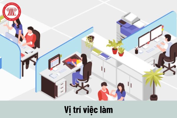 Vị trí việc làm là gì? Trả lương theo vị trí việc làm là như thế nào?