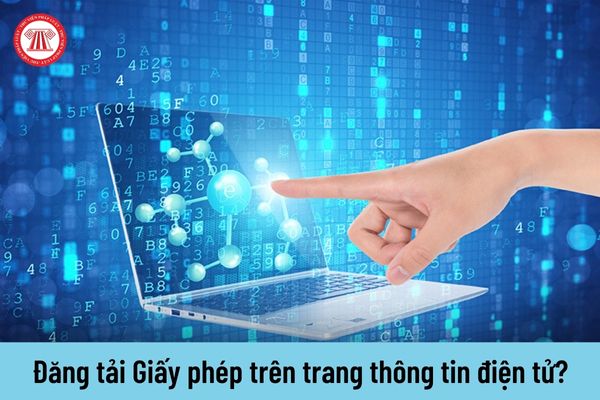 Doanh nghiệp dịch vụ có phải đăng tải Giấy phép trên trang thông tin điện tử của doanh nghiệp không?