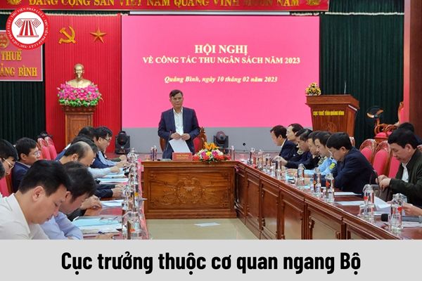 Người giữ chức vụ Cục trưởng thuộc cơ quan ngang Bộ có những quyền gì?