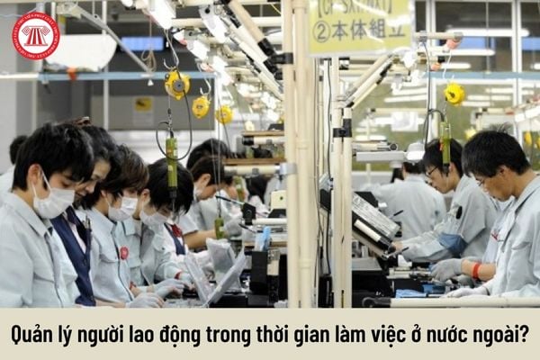 Không báo cáo với cơ quan đại diện Việt Nam ở nước ngoài để quản lý người lao động trong thời gian làm việc ở nước ngoài thì bị xử phạt ra sao?