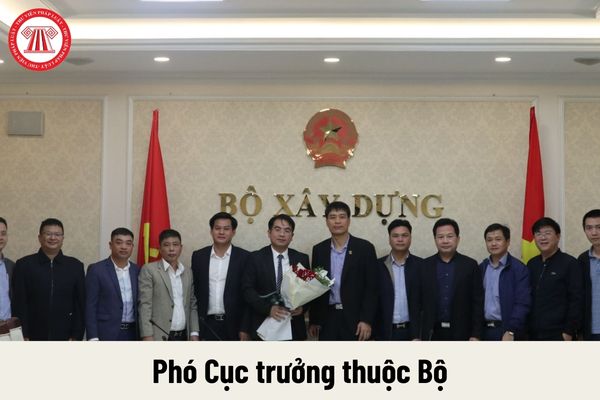 Quyền của người giữ chức vụ Phó Cục trưởng thuộc Bộ là gì?