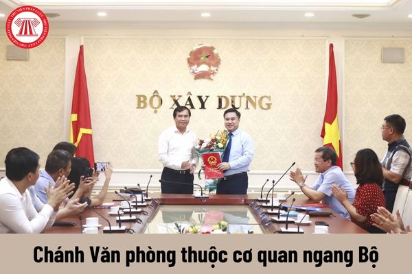 Người giữ chức vụ Chánh Văn phòng thuộc cơ quan ngang Bộ có những quyền gì?