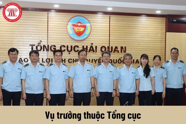 Vụ trưởng thuộc Tổng cục có yêu cầu về trình độ như thế nào?