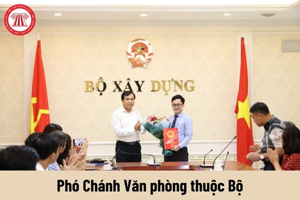 Yêu cầu về trình độ đối với Phó Chánh Văn phòng thuộc Bộ là gì?