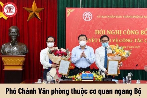 Nhiệm vụ của Phó Chánh Văn phòng thuộc cơ quan ngang Bộ phải thực hiện hiện nay là gì?