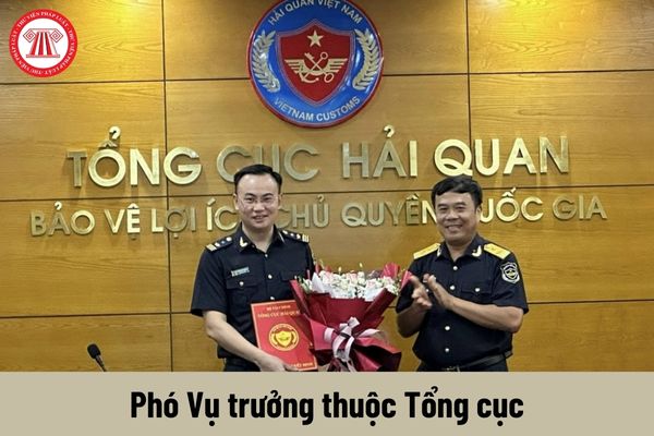 Người giữ chức vụ Phó Vụ trưởng thuộc Tổng cục có những quyền gì?