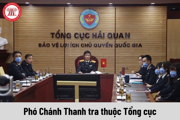 Phó Chánh Thanh tra thuộc Tổng cục có yêu cầu về trình độ như thế nào?