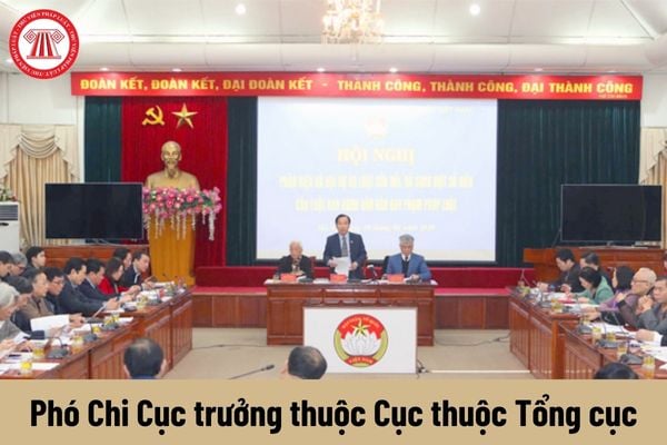 Người giữ chức vụ Phó Chi Cục trưởng thuộc Cục thuộc Tổng cục có những quyền gì?