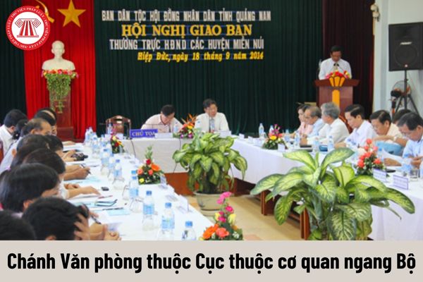 Quyền của người giữ chức vụ Chánh Văn phòng thuộc Cục thuộc cơ quan ngang Bộ là gì?