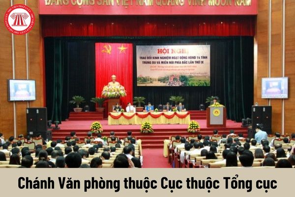 Yêu cầu về trình độ đối với Chánh Văn phòng thuộc Cục thuộc Tổng cục là gì?