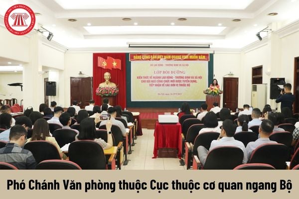 Người giữ chức vụ Phó Chánh Văn phòng thuộc Cục thuộc cơ quan ngang Bộ có những quyền gì?