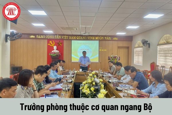 Yêu cầu về trình độ đối với Trưởng phòng thuộc cơ quan ngang Bộ là gì?