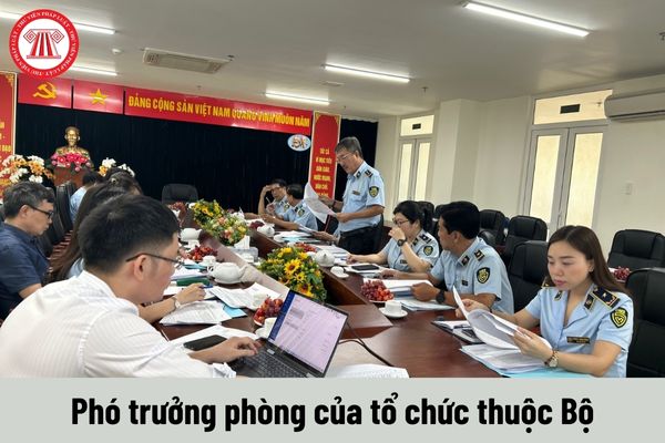 Người giữ chức vụ Phó trưởng phòng của tổ chức thuộc Bộ có những quyền gì?