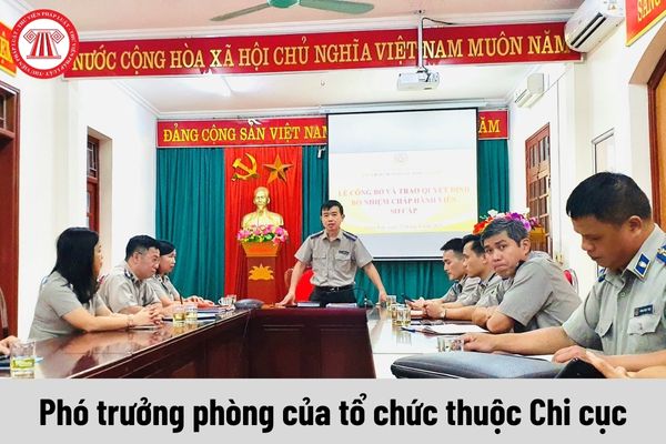 Phó trưởng phòng của tổ chức thuộc Chi cục có yêu cầu về trình độ như thế nào?