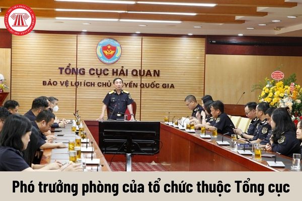 Quyền của người giữ chức vụ Phó trưởng phòng của tổ chức thuộc Tổng cục là gì?