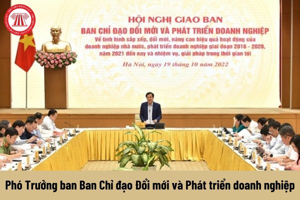 Nhiệm vụ của Phó Trưởng ban Ban Chỉ đạo Đổi mới và Phát triển doanh nghiệp phải thực hiện hiện nay là gì?