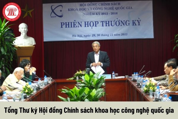 Tổng Thư ký Hội đồng Chính sách khoa học công nghệ quốc gia có yêu cầu về trình độ như thế nào?