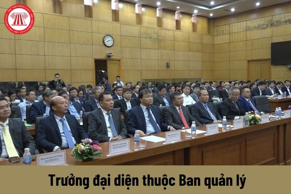 Trưởng đại diện thuộc Ban quản lý có yêu cầu về trình độ như thế nào?