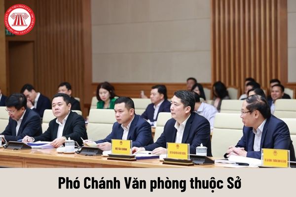 Quyền của người giữ chức vụ Phó Chánh Văn phòng thuộc Sở là gì?