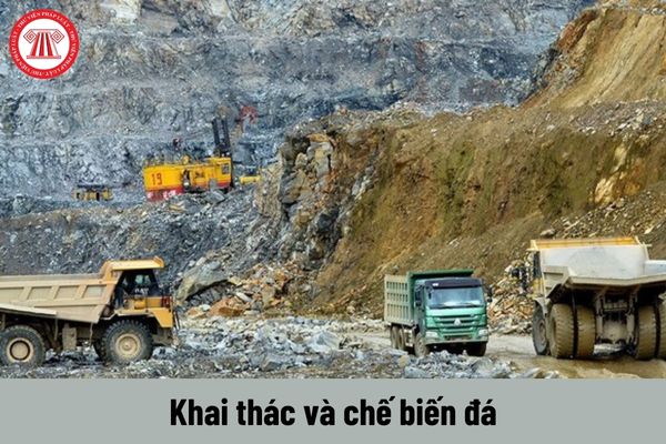 Các đơn vị khai thác và chế biến đá phải có các chức danh nào?