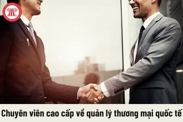 Công việc của chuyên viên cao cấp về quản lý thương mại quốc tế phải thực hiện là gì?