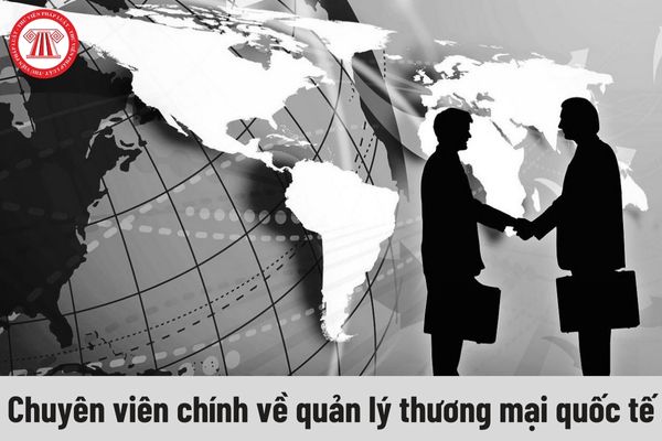 Chuyên viên chính về quản lý thương mại quốc tế phải có năng lực như thế nào?