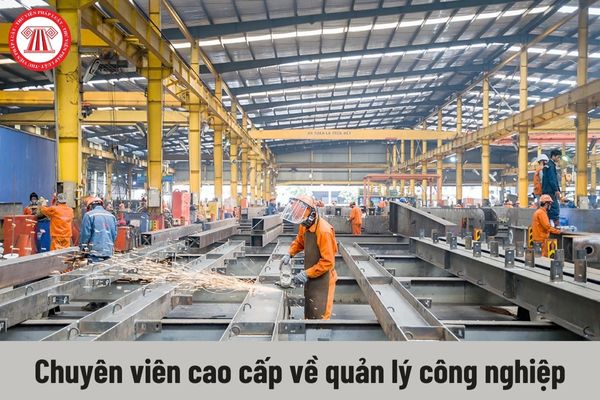 Chuyên viên cao cấp về quản lý công nghiệp phải đáp ứng yêu cầu về trình độ như thế nào?