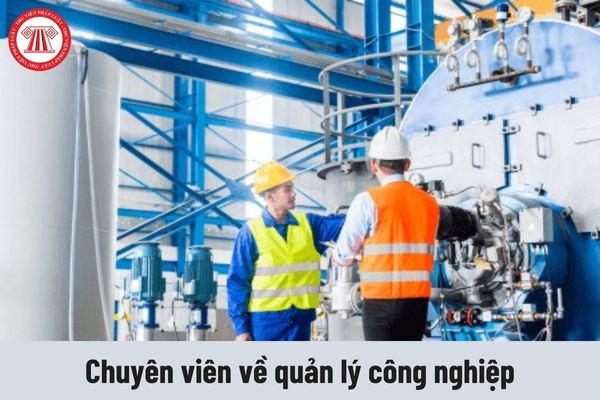 Chuyên viên về quản lý công nghiệp phải thực hiện các công việc gì?