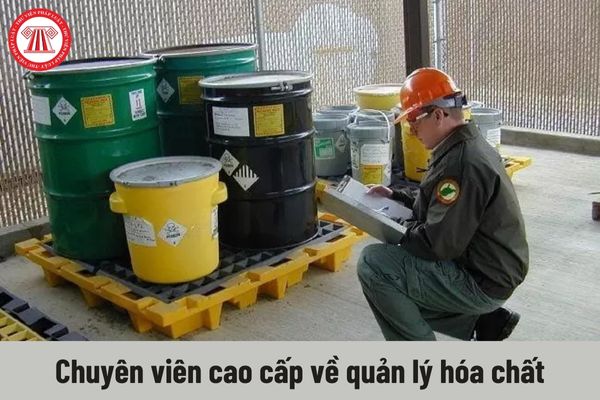 Chuyên viên cao cấp về quản lý hóa chất phải đáp ứng yêu cầu về trình độ như thế nào?