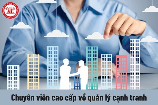 Công việc của Chuyên viên cao cấp về quản lý cạnh tranh phải thực hiện là gì?