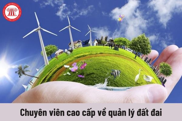 Công việc hiện nay của Chuyên viên cao cấp về quản lý đất đai phải thực hiện là gì?