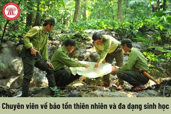 Công việc hiện nay của Chuyên viên về bảo tồn thiên nhiên và đa dạng sinh học phải thực hiện là gì?