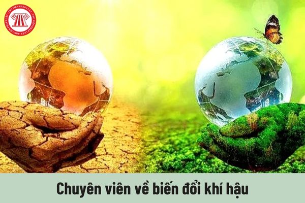 Tiêu chuẩn về năng lực đối với Chuyên viên về biến đổi khí hậu hiện nay là gì?