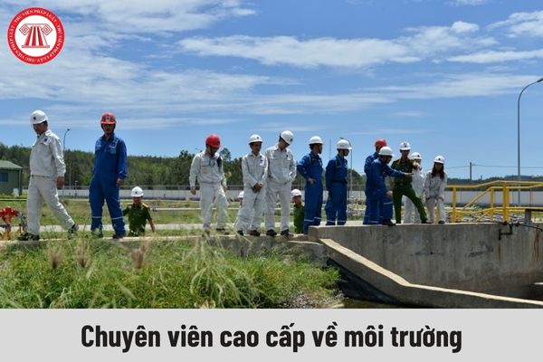 Chuyên viên cao cấp về môi trường phải đáp ứng yêu cầu về trình độ như thế nào?