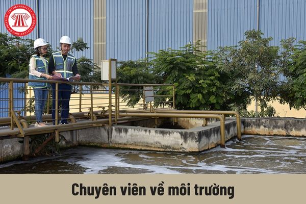 Công việc hiện nay của người giữ chức vụ Chuyên viên về môi trường phải thực hiện là gì?