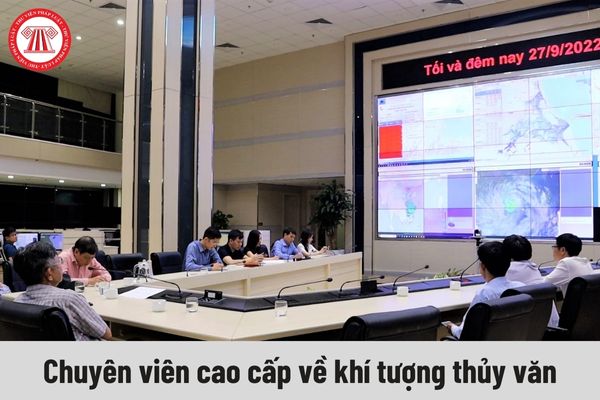 Chuyên viên cao cấp về khí tượng thủy văn phải có năng lực như thế nào?