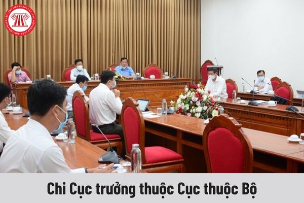 Nhiệm vụ của Chi Cục trưởng thuộc Cục thuộc Bộ phải thực hiện hiện nay là gì?