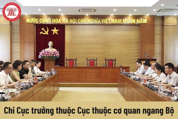 Người giữ chức vụ Chi Cục trưởng thuộc Cục thuộc cơ quan ngang Bộ có những quyền gì?