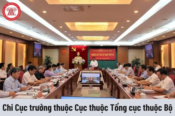 Chi Cục trưởng thuộc Cục thuộc Tổng cục thuộc Bộ có yêu cầu về trình độ như thế nào?