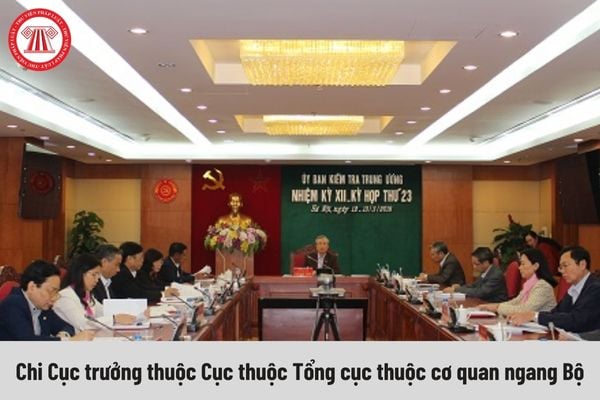 Quyền của người giữ chức vụ Chi Cục trưởng thuộc Cục thuộc Tổng cục thuộc cơ quan ngang Bộ là gì?