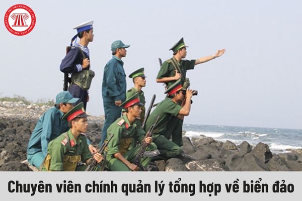 Chuyên viên chính quản lý tổng hợp về biển đảo phải đáp ứng yêu cầu về trình độ như thế nào?