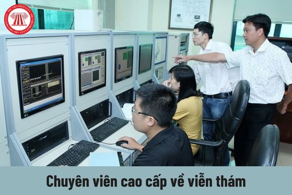 Chuyên viên cao cấp về viễn thám phải thực hiện những công việc như thế nào?