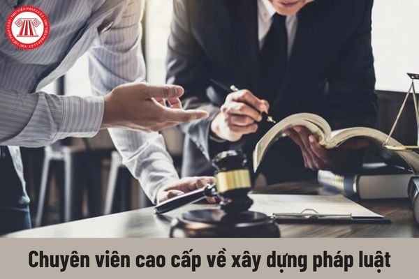 Chuyên viên cao cấp về xây dựng pháp luật phải thực hiện những nhiệm vụ gì?