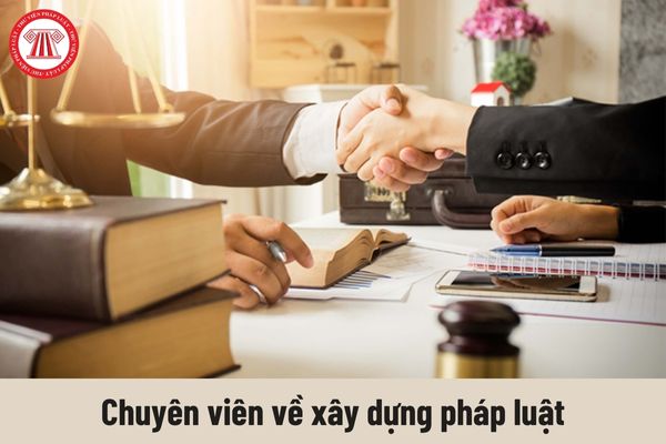 Người giữ chức vụ Chuyên viên về xây dựng pháp luật có những quyền như thế nào?