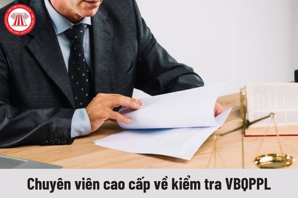 Quyền của người giữ chức vụ Chuyên viên cao cấp về kiểm tra văn bản quy phạm pháp luật là gì?